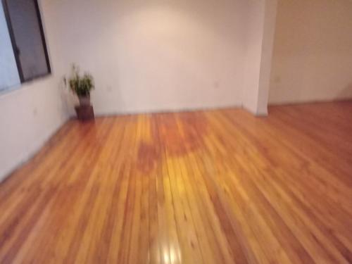 an empty room with a wooden floor and a plant at La teodora in Cuenca