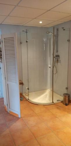 een badkamer met een douche en een glazen deur bij Apartamento Coral in Denia