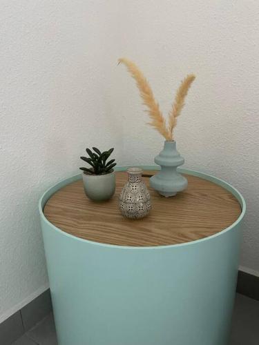 a table with two vases and plants on it at Orient Bay Villa in Orient Bay
