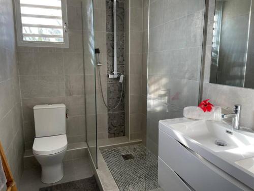 e bagno con doccia, servizi igienici e lavandino. di Orient Bay villa a Saint Martin