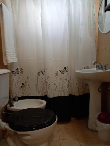 La salle de bains est pourvue de toilettes et d'un lavabo. dans l'établissement Santa Rosa LA PAMPA, à Santa Rosa