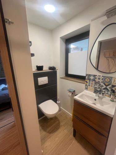 ein Badezimmer mit einem Waschbecken, einem WC und einem Spiegel in der Unterkunft La Vitrine in Gertwiller