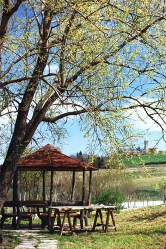 a picnic table and a gazebo under a tree at Agriturismo Il Mio Casale in Monte Colombo