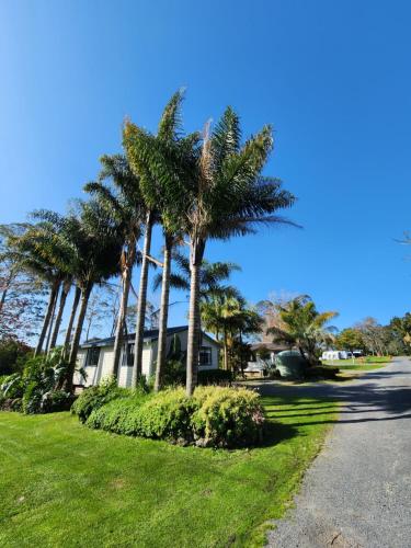 a row of palm trees in front of a house at Bay of Islands Holiday Park in Paihia