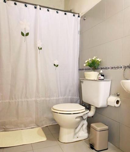 łazienka z toaletą i zasłoną prysznicową w obiekcie Duplex Reencuentro w mieście Mercedes