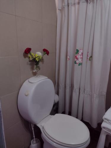 a bathroom with a toilet with a vase of flowers on it at Maipú soñado in Maipú