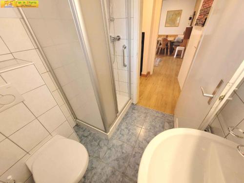 a bathroom with a toilet and a shower at Holiday home in Bad Mitterndorf - Steiermark 41124 in Bad Mitterndorf