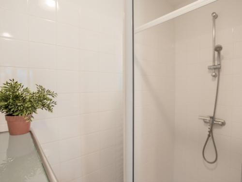 baño con cabina de ducha con maceta en Lac Bleu 25 en Lacapelle-Marival