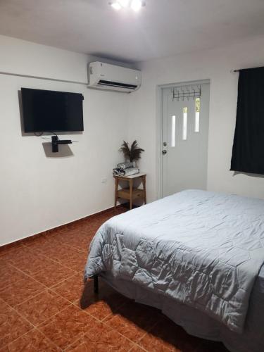 Schlafzimmer mit einem Bett und einem Flachbild-TV in der Unterkunft La Familia # in Aguada