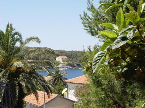 a view of a body of water with palm trees at Apartments Jovic in Mali Lošinj