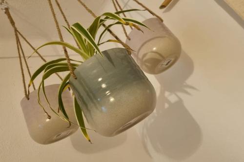 a vase with a plant in it on a table at Cantinho da Vila by Portus Alacer in Alter do Chão