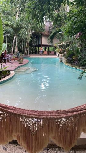 een groot zwembad met water in een resort bij Xoot ka Ana luxury, Villa las Flores in Bacalar