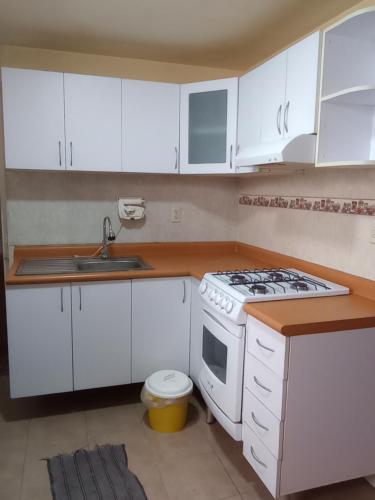 a white kitchen with a stove and a sink at siberia 166 departamento 211 in Mexico City