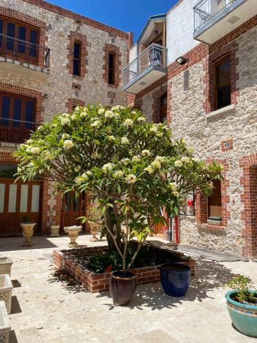 Κήπος έξω από το RIALTO SUITES Fremantle