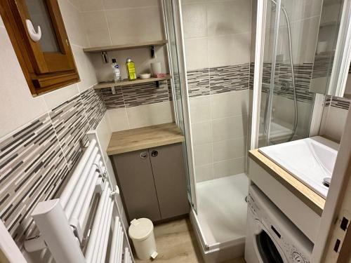 La petite salle de bains est pourvue d'une douche et d'un lavabo. dans l'établissement Charmant studio mezzanine 48m², 6 pers, proche navette et ludiparc, balcon, Wi-Fi, non fumeur - FR-1-515-186, à Villard-de-Lans