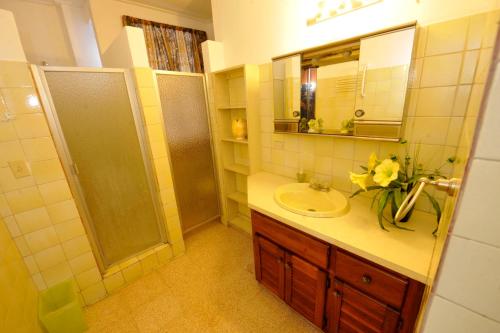y baño con lavabo y espejo. en Totumas Lodge, en Panamá