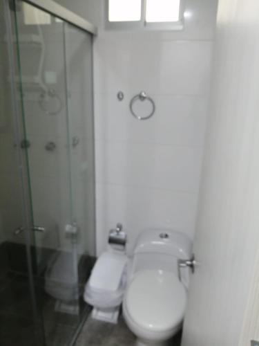 La salle de bains est pourvue de toilettes et d'une douche en verre. dans l'établissement Apartamento Sabaneta sector Mayorca, à Sabaneta