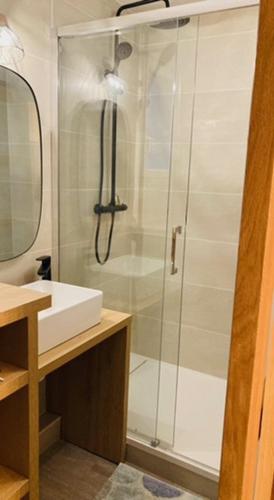 une douche avec une porte vitrée à côté d'un lavabo dans l'établissement Appartement familial station de Peyragudes, à Germ