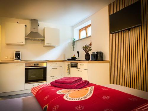 Gallery image of Deine-Ferienwohnung in Mahlberg