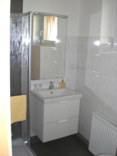 a white bathroom with a sink and a mirror at Pension Füg in Dresden