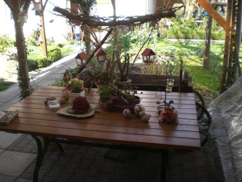 Fotografie z fotogalerie ubytování Pension Füg v Drážďanech