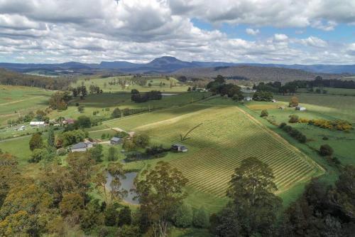 an aerial view of a field with a farm at Meander Valley Vineyard Escape in Red Hill