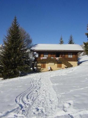 Chalet Leiggener durante el invierno