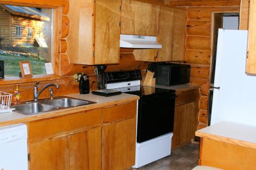 eine Küche mit einer Spüle, einem Herd und einem Kühlschrank in der Unterkunft Bear Den Vacation Home in Anchor Point