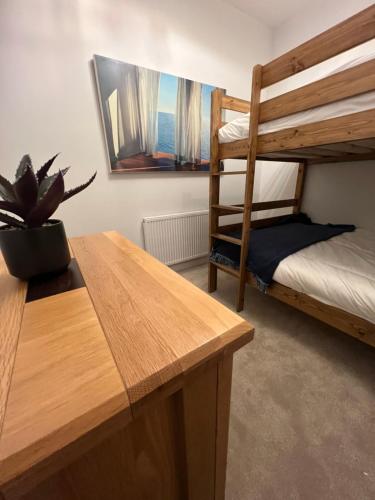 Habitación con 2 literas y una maceta. en The Apartment Mount Galpine en Dartmouth