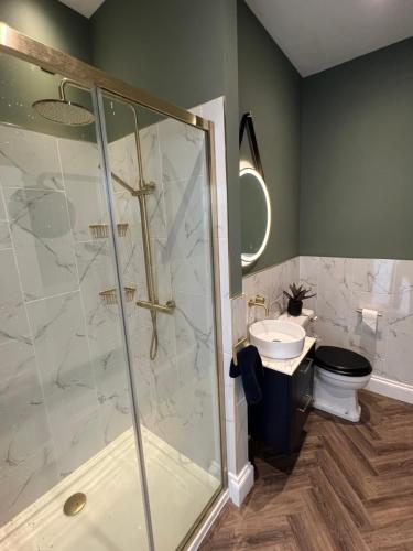 a bathroom with a shower and a toilet and a sink at The Apartment Mount Galpine in Dartmouth