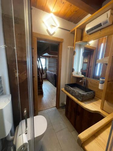 a bathroom with a shower and a toilet and a sink at Hotel Chacaril in Pila