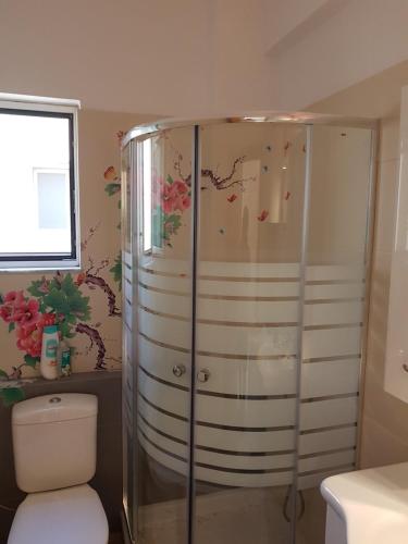 City center luxury studio في كاريستوس: دش زجاجي في حمام مع مرحاض