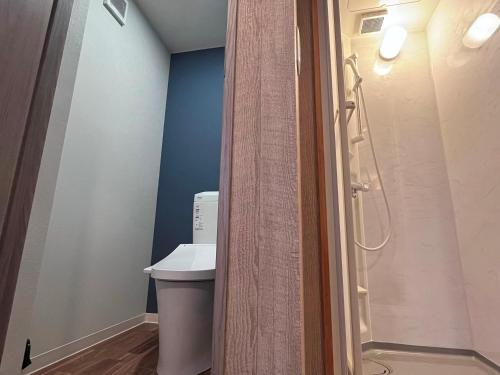 a bathroom with a shower and a toilet in it at Fukiya in Gero