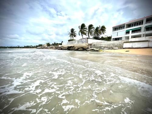 a view of a beach with palm trees and a building at Oceanfront Retreat in Playa Fortuna, Puerto Rico in Luquillo