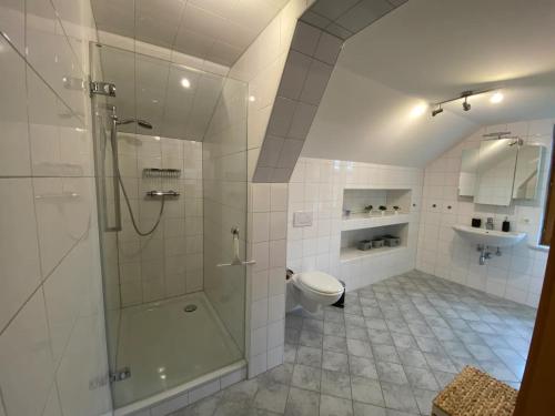 a bathroom with a shower and a toilet and a sink at Bodensee Wohnung 3 mit Privatstrand in Gaißau