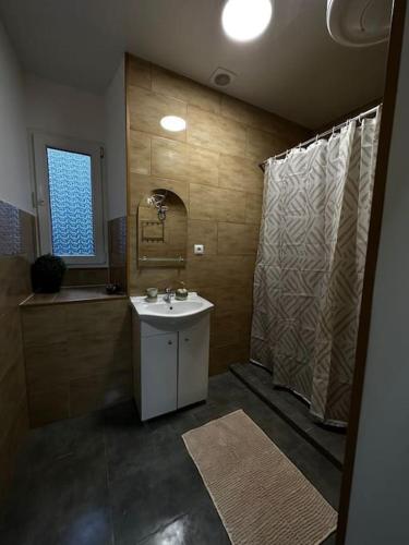 a bathroom with a sink and a shower at Kleparski 17 Apartament in Krakow