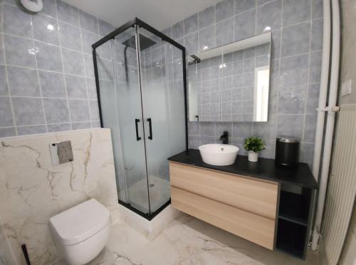 uma casa de banho com um chuveiro, um WC e um lavatório. em Appartement Spacieux et Rénové em Neuilly-sur-Marne