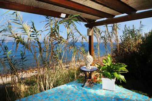 a table with a vase and plants on a blue table cloth at BOUTIQUE VILLA con accesso privato alla spiaggia in Caronia