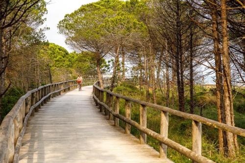 a person walking on a wooden bridge in a forest at Lino delle Fate Eco Resort in Bibione
