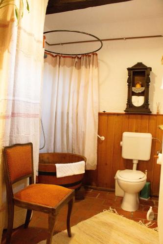a bathroom with a toilet and a chair at Fecskefészek Vendégház Őriszentpéter in Őriszentpéter