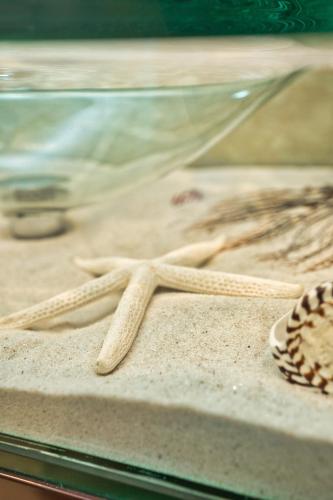 two wooden utensils sitting on top of a table at Oceanfront 5-Stars Starfish Villa, Dawn Beach, Private Pool, Secured, Concierge in Oyster Pond