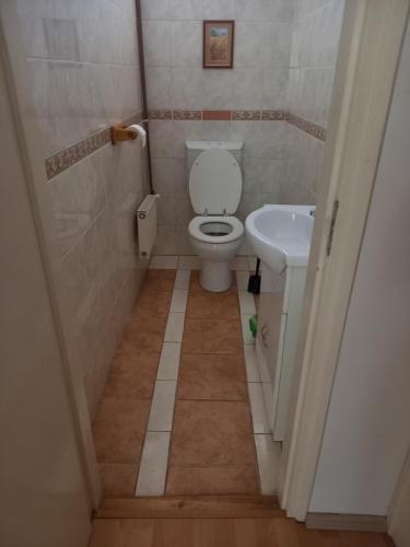 uma pequena casa de banho com WC e lavatório em Spacious home em Gödöllő