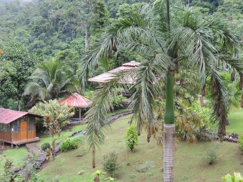 a palm tree in a yard with a house at Pacuare River Lodge in Bajo Tigre
