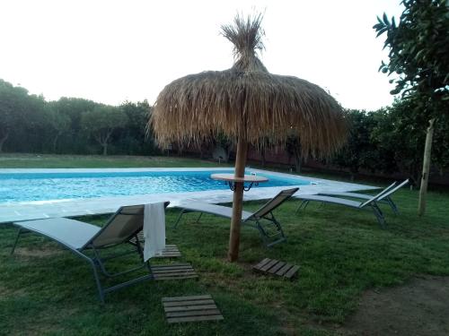un tavolo con un ombrellone di paglia accanto alla piscina di Finca Azahar Chipiona a Chipiona