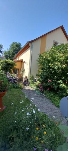 Fotografie z fotogalerie ubytování Pension Füg v Drážďanech