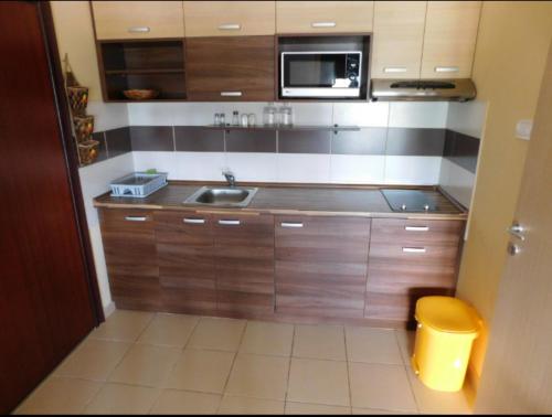 eine kleine Küche mit Spüle und Mikrowelle in der Unterkunft JollyKop Vila Valentina A14 in Kopaonik