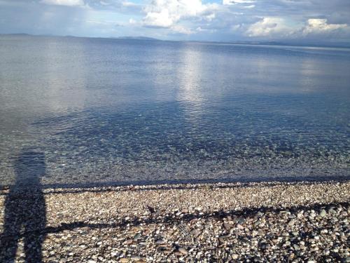 a shadow of a person standing on the shore of the water at Nitelli's Houses in Skála Néon Kydonión