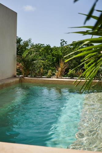 Πισίνα στο ή κοντά στο Spacious & Comfy Penthouse Oasis with Plunge Pool