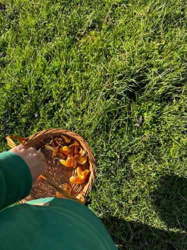 a person holding a basket of food in the grass at Babia Raj Zawoja in Zawoja