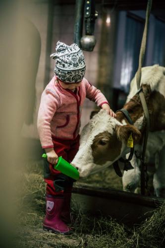 a child is petting a cow in a barn at Wagner's Aparthotel in Pertisau